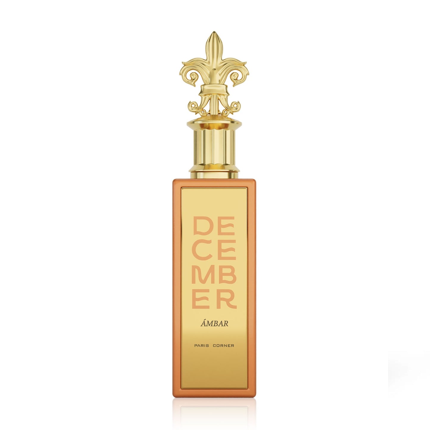 Paris Corner, December Ambar, Eau De Parfum, Unisexe, 100 ml
